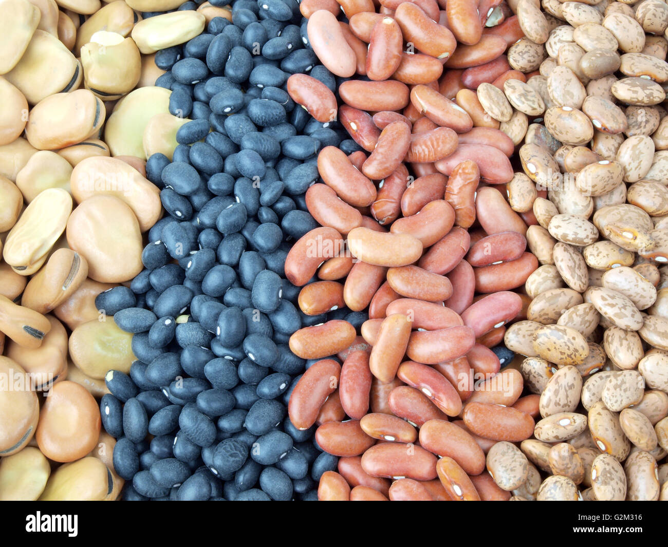 BEAN Gift COMBO 1 ... Pinto, Kidney, Red, Black ... 16 lbs. ... Cuba Home Delivery Included, Trackable.