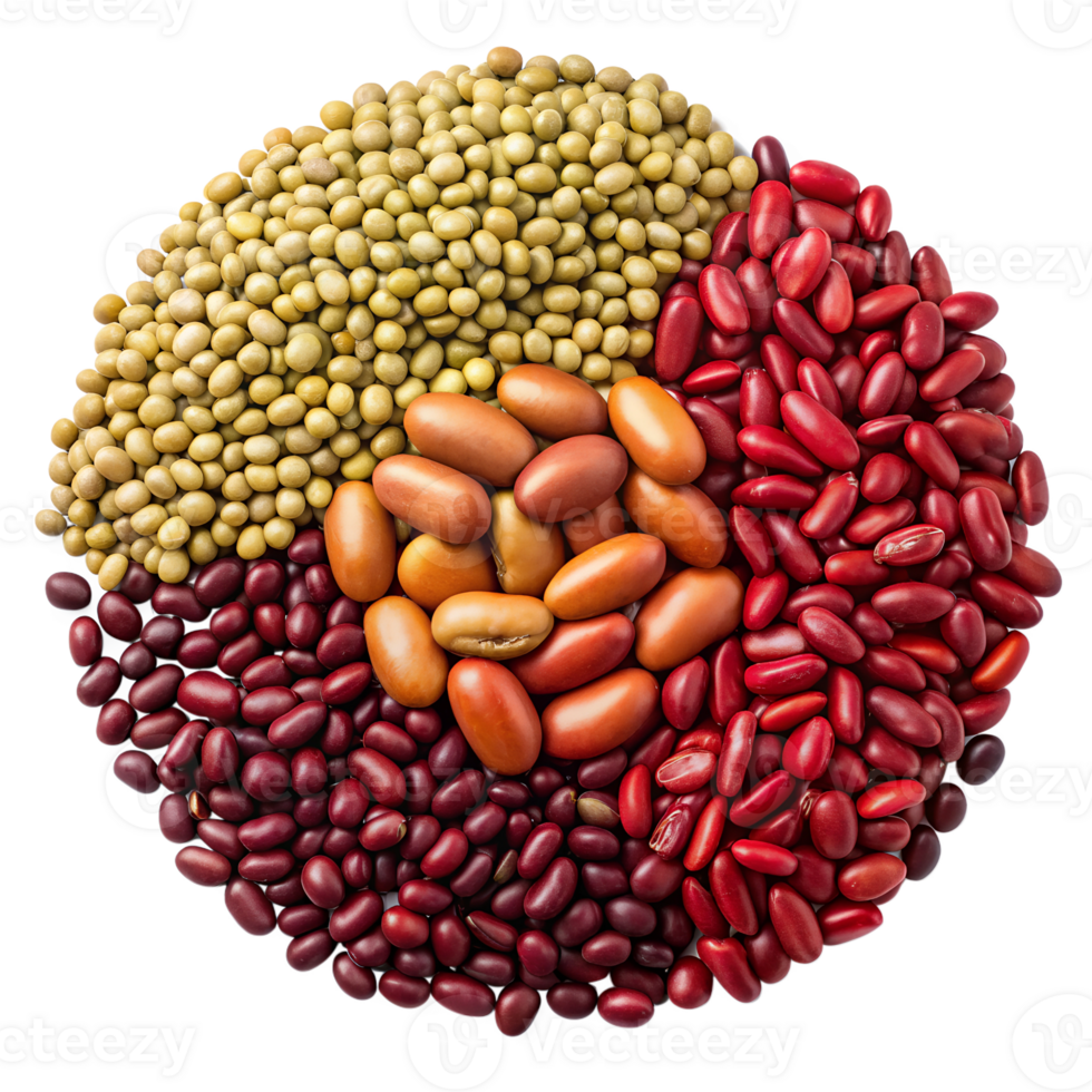 BEAN Gift COMBO 3 ... Garbanzo, Pinto, Lentil, Black, Seasonings ... 32 lbs. ... Cuba Home Delivery Included, Trackable.