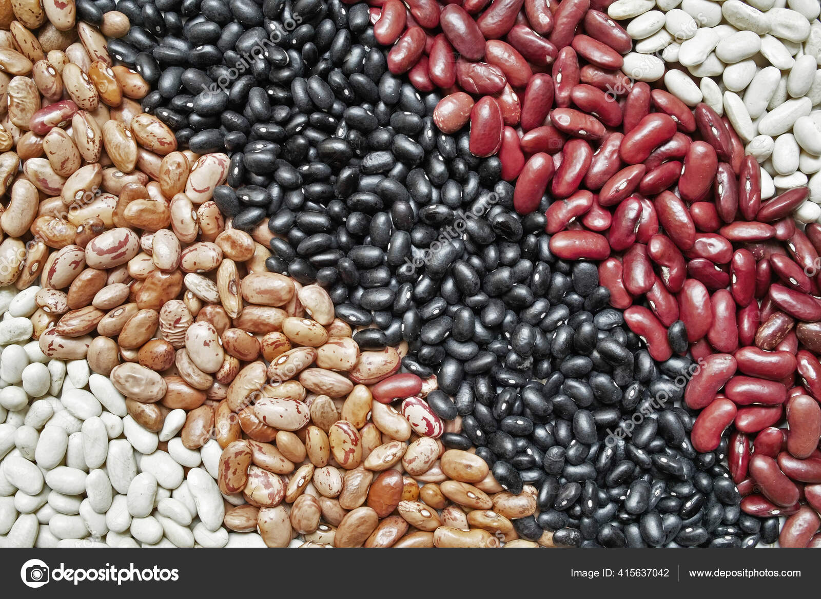 BEAN Gift COMBO 2 ... Pinto, Kidney, Red, Black ... 32 lbs. ... Cuba Home Delivery Included, Trackable.