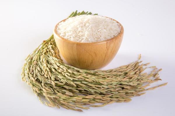 Mahatma Extra Long Grain Rice ... 4 - 5 lb. Bags = 20 lbs. ... Cuba Home Delivery Included, Trackable
