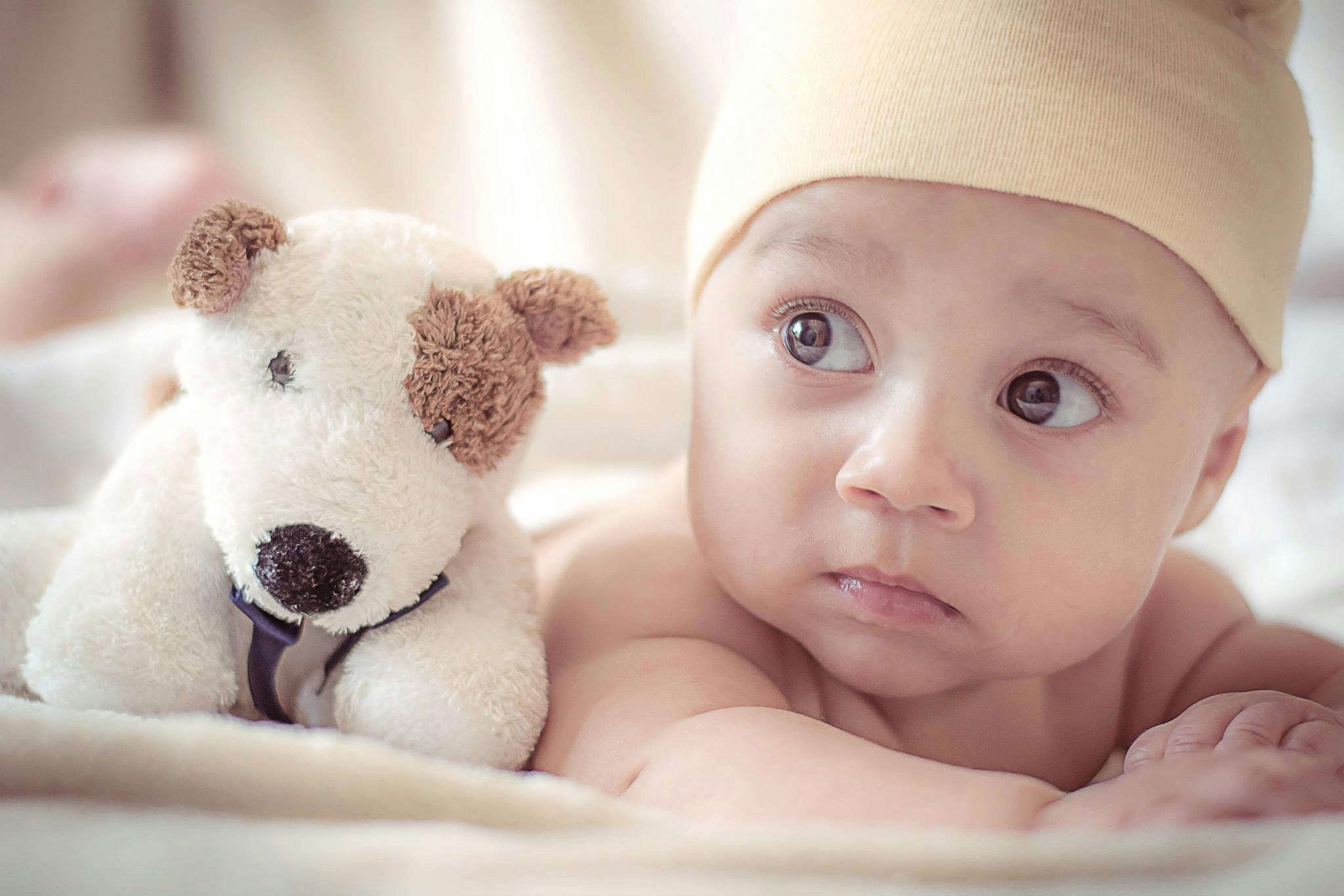 Similac 360 Total Care Infant Formula, Powder ... 4- 20.6-oz Tubs ... Cuba Home Delivery Included, Trackable.